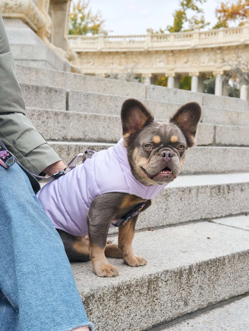 ABRIGO PARA PERRO PURPURA