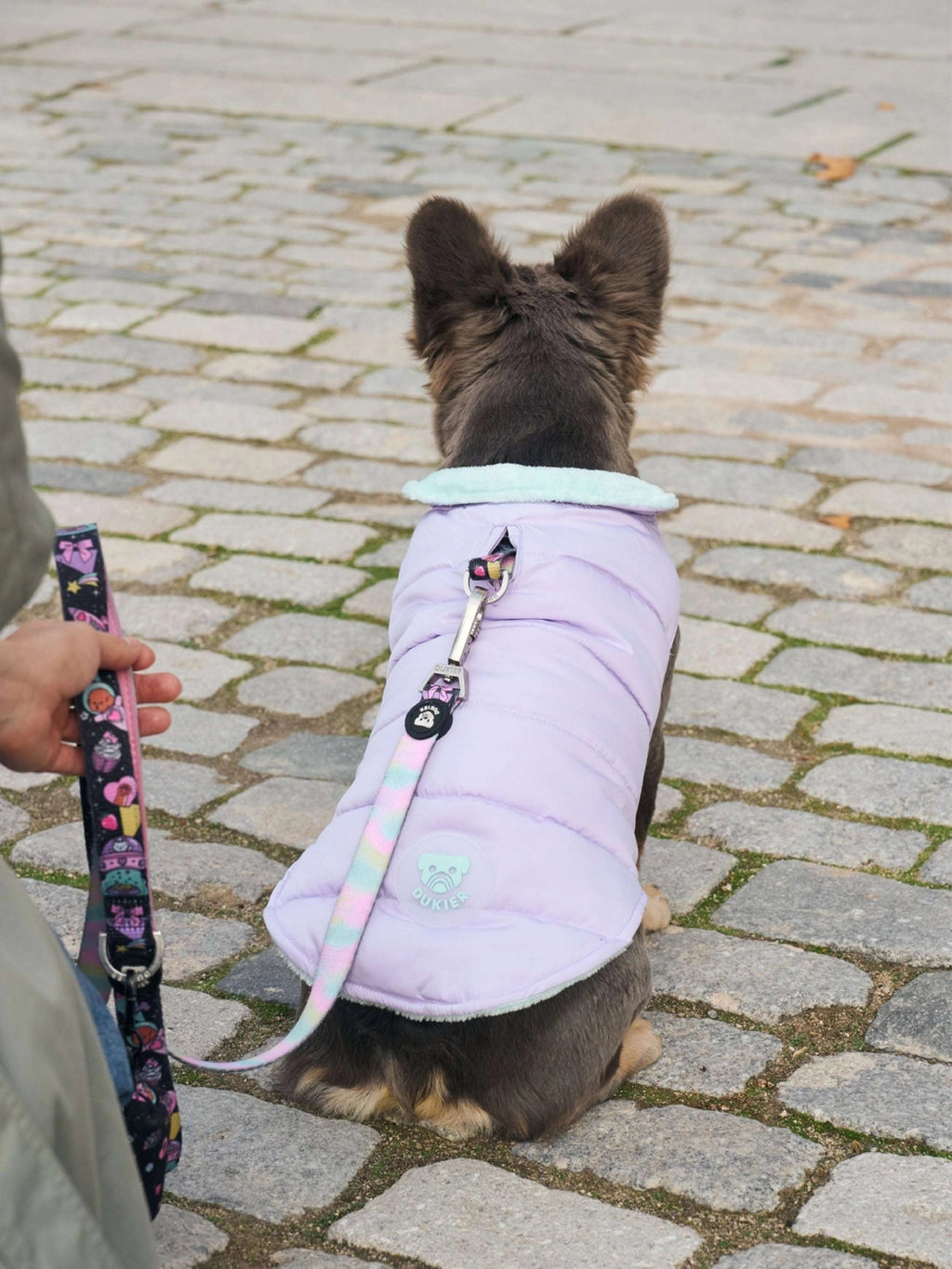 ABRIGO PARA PERRO PURPURA