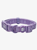 COLLAR PARA PERRO VIOLETA