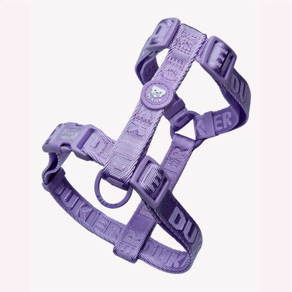 ARNÉS CLÁSICO PARA PERRO VIOLETA