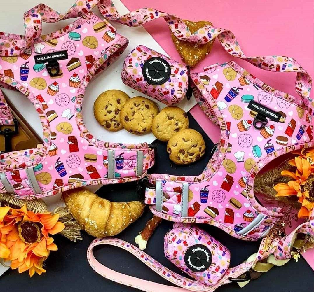 ARNÉS AJUSTABLE DULCES DESEOS
