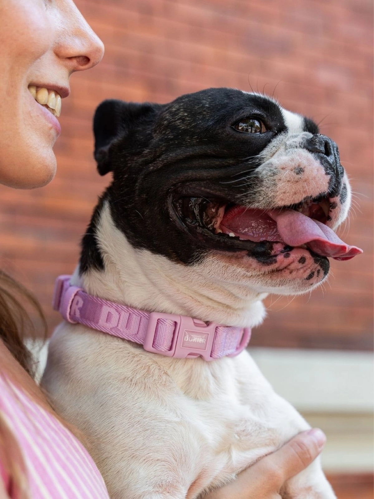 COLLAR PARA PERRO FRESA