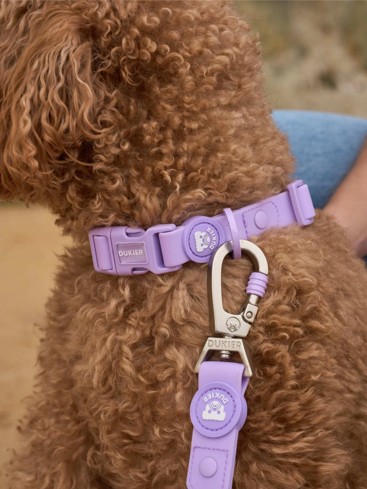 SET DE PASEO WATERPROOF PURPURA