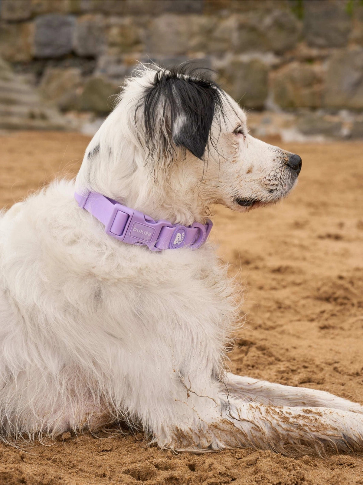 SET DE PASEO WATERPROOF PURPURA