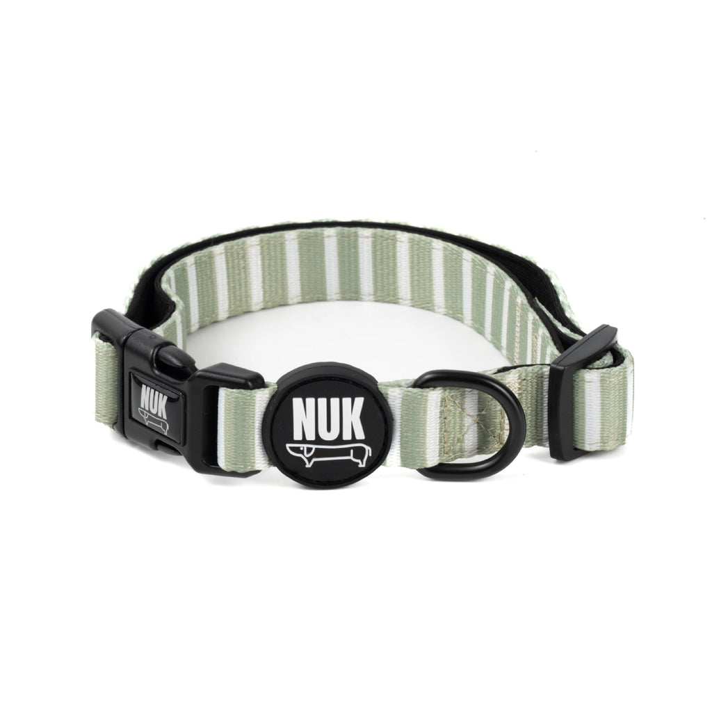 COLLAR PARA PERROS AJUSTABLE MATCHA