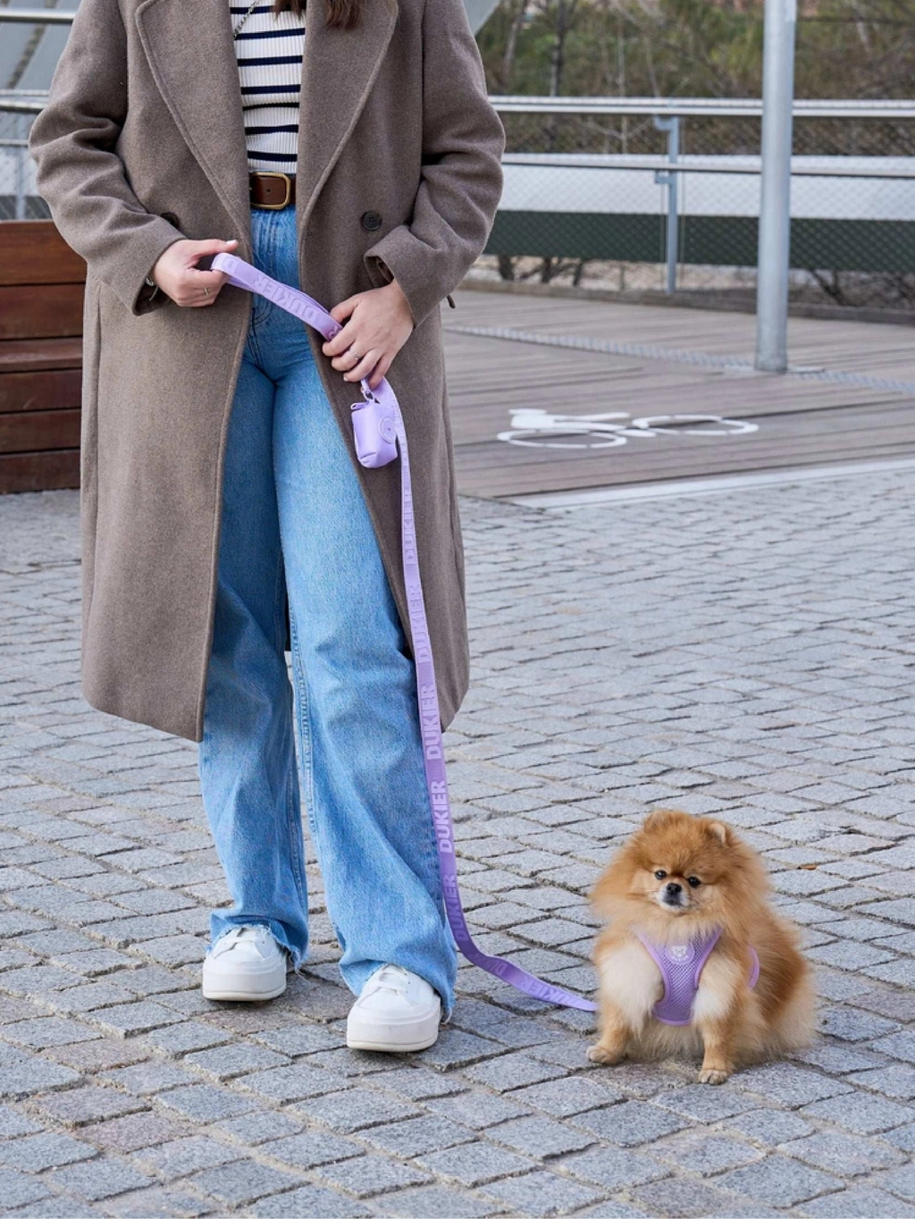 CORREA PARA PERRO VIOLETA