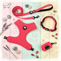 SET DE PASEO CHERRY