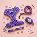 SET DE PASEO LAVANDA