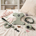 SET DE PASEO MATCHA