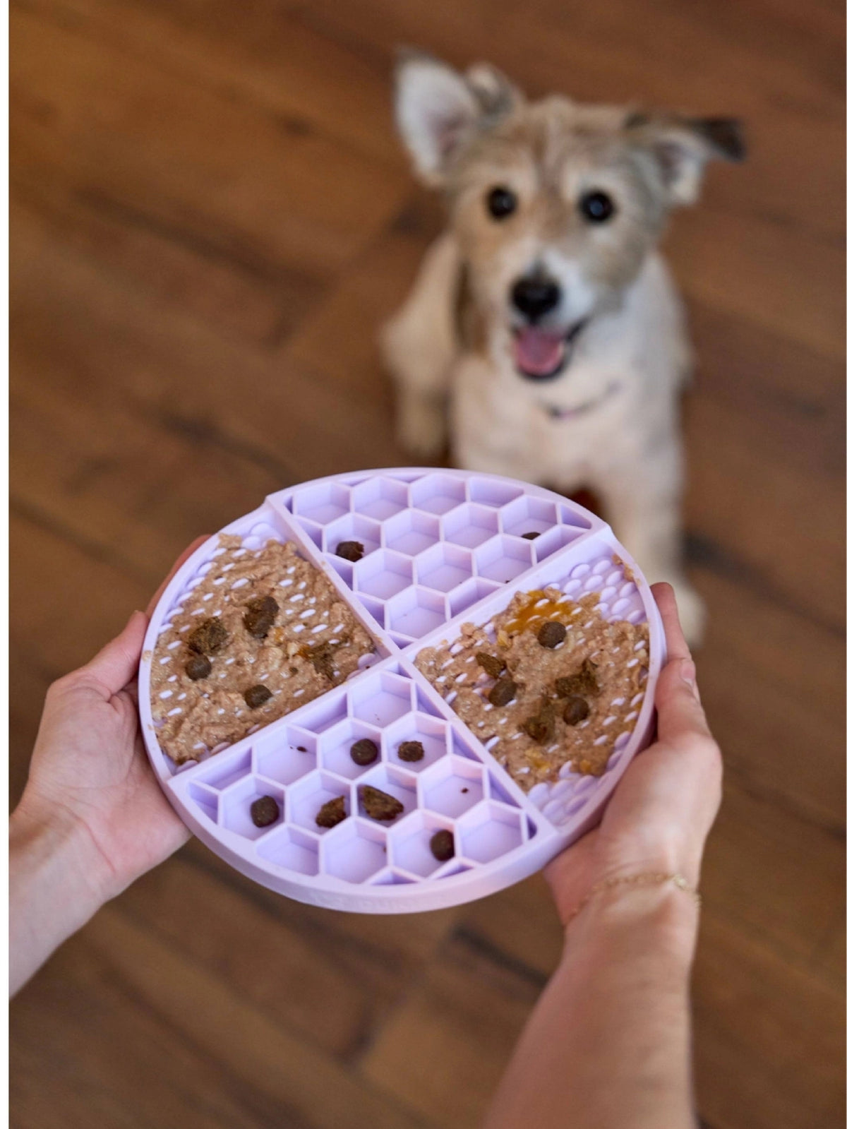 LICK MAT PARA PERRO PURPURA