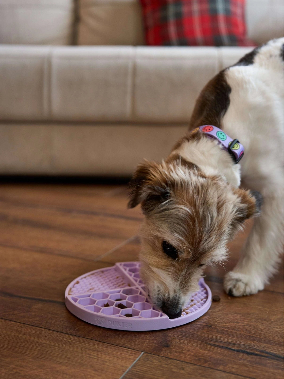 LICK MAT PARA PERRO PURPURA