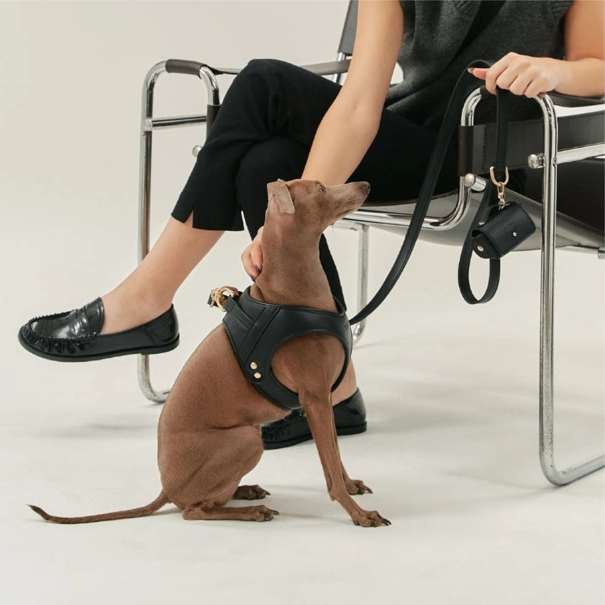 ARNÉS "LUXURY" CUERO VEGANO NEGRO