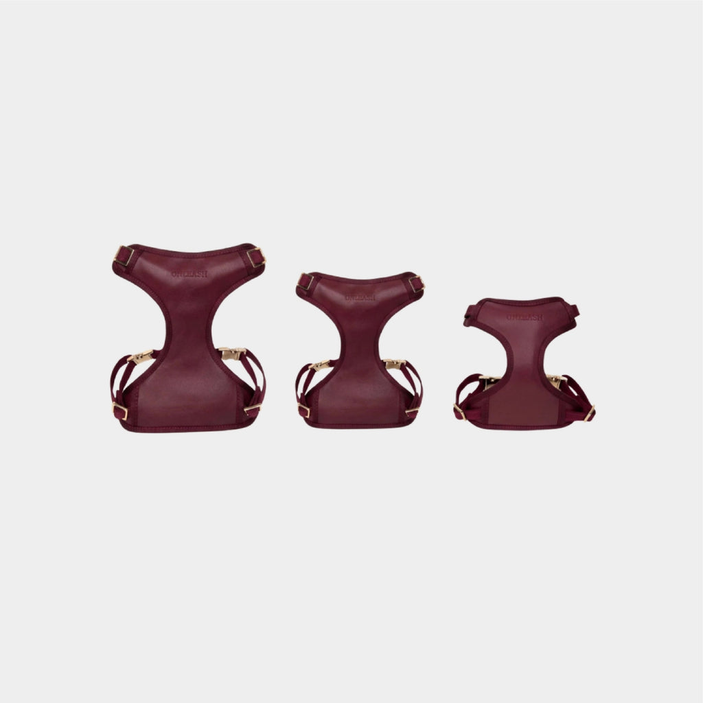SET BURDEOS